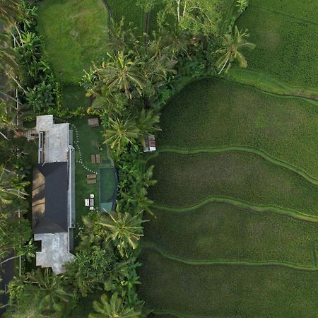 Hatiku Di Bali - Ubud Tegallalang  Exteriör bild