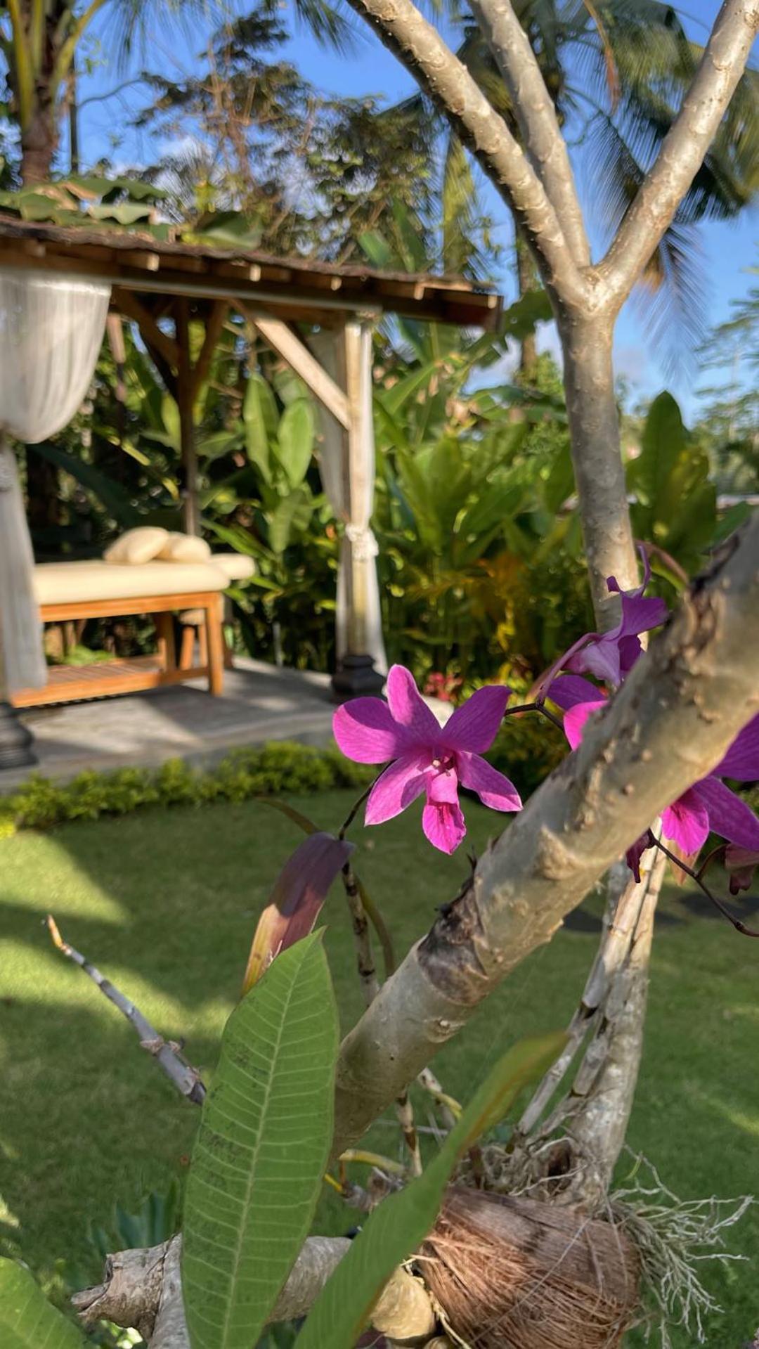 Hatiku Di Bali - Ubud Tegallalang  Exteriör bild